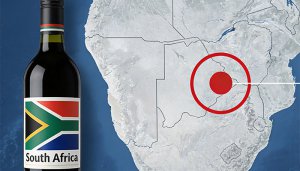 2025年南非葡萄酒出口情况
